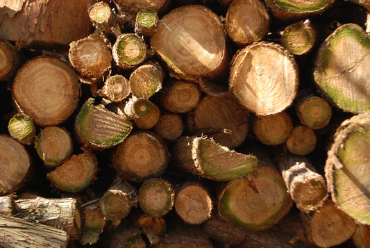 Sustainable Practices in Fine Woodworking Today